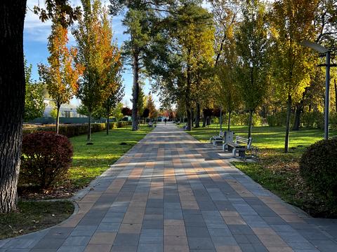 квартира за адресою Лісова вул., 3