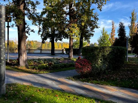 квартира за адресою Лісова вул., 3