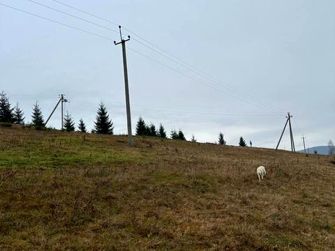 участок по адресу довгий Грунь