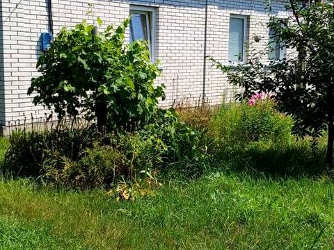 дом по адресу Мичурина ул. (Мічуріна)