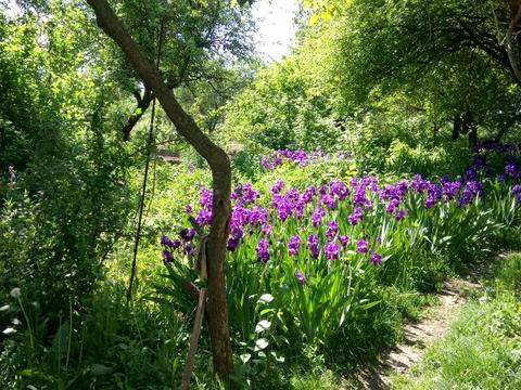 ділянка за адресою Котова, 20