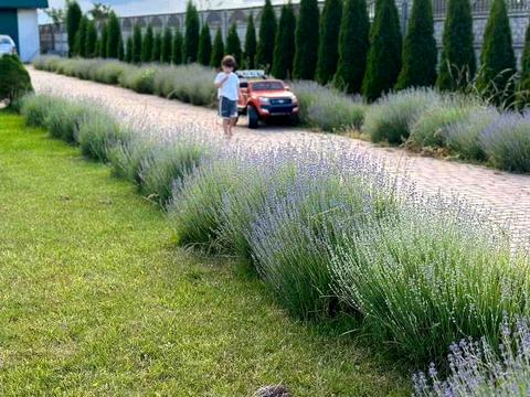 квартира по адресу с. Осмиловичи, Шевченка, 1