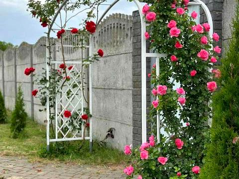 квартира по адресу с. Осмиловичи, Шевченка, 1