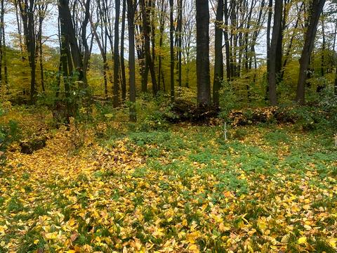 будинок за адресою Турбівський масив
