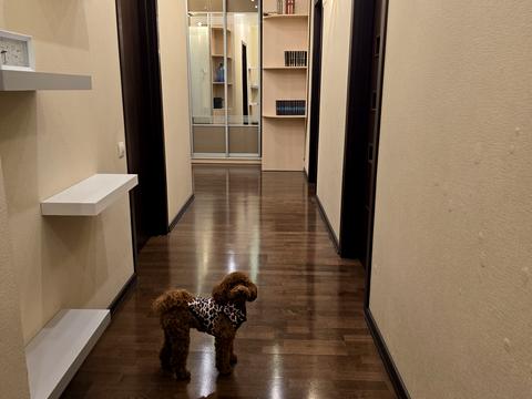 квартира за адресою Коперника вул., 12-Д