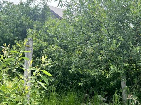 ділянка за адресою Шевченка