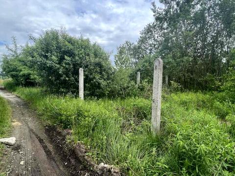 ділянка за адресою Шевченка