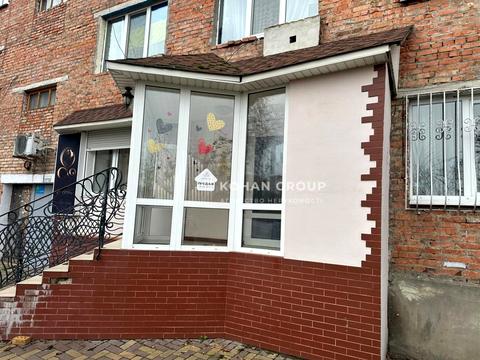 комерційна за адресою Центральна вул., 29В