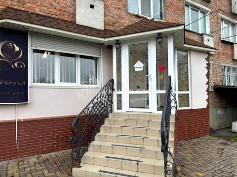 комерційна за адресою Центральна вул., 29В