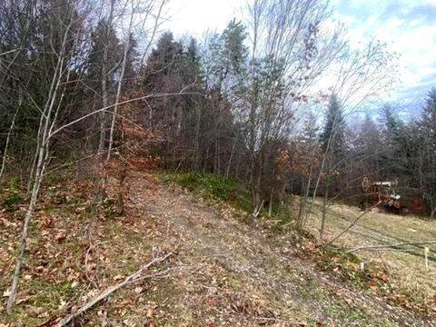ділянка за адресою Степана Бандери вул.
