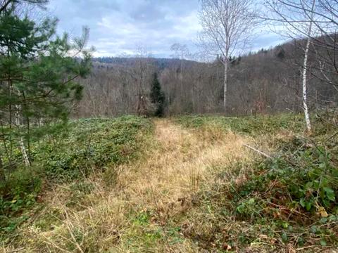 ділянка за адресою Степана Бандери вул.