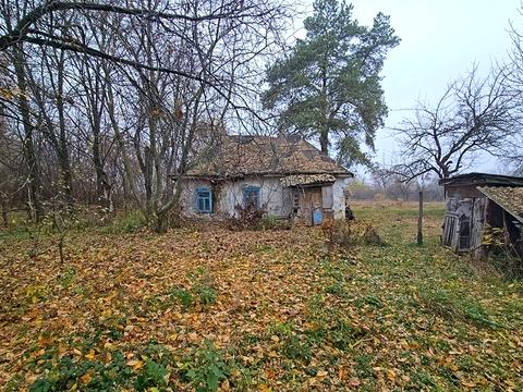 дом по адресу Шевченко