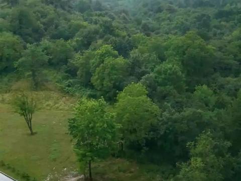 квартира по адресу Малоголосковская ул., 22