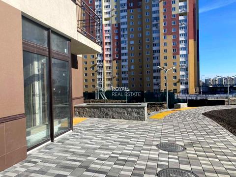 комерційна за адресою Олександра Олеся вул., 2