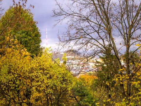 квартира за адресою Уласа Самчука вул. (улица Пархоменко), 13