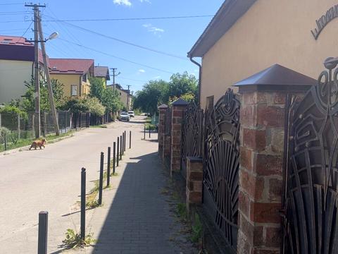 квартира по адресу Замарстыновская ул. (Калинина), 150