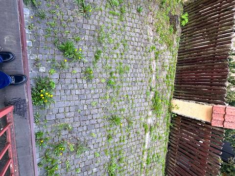 дом по адресу Пляжная ул.