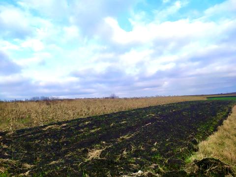 ділянка за адресою 