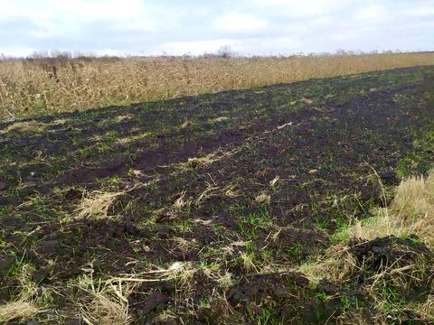 ділянка за адресою 