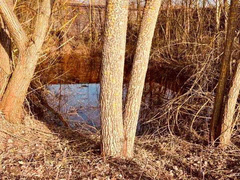 ділянка за адресою Савонівська вул.