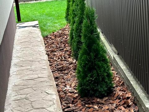 дом по адресу Мостовая ул., 18А