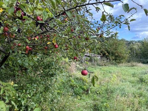 дом по адресу Братьев Котенко ул., 62