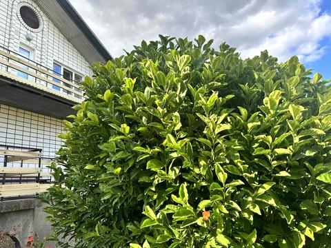 будинок за адресою Подільська