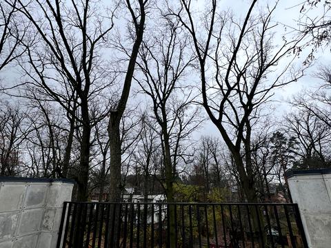 дом по адресу Киево-Мироцкая ул., 123