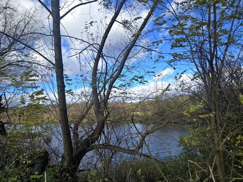 участок по адресу с. Быстри, Петра Соломка