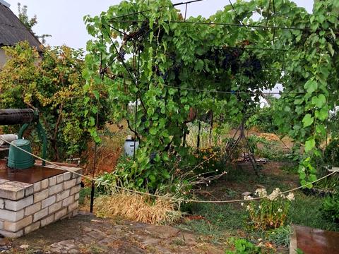 будинок за адресою 1-й Баштанський пров.