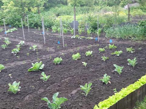 будинок за адресою Вчительська вул., 1