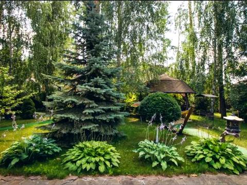 дом по адресу Антония Михайловского ул.