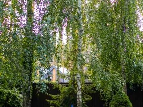 дом по адресу Антония Михайловского ул.