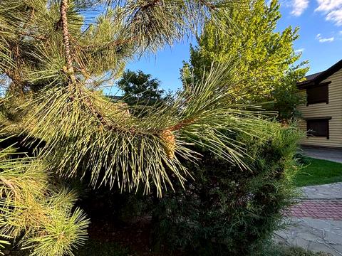 дом по адресу Набережна