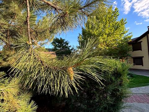 дом по адресу Набережна