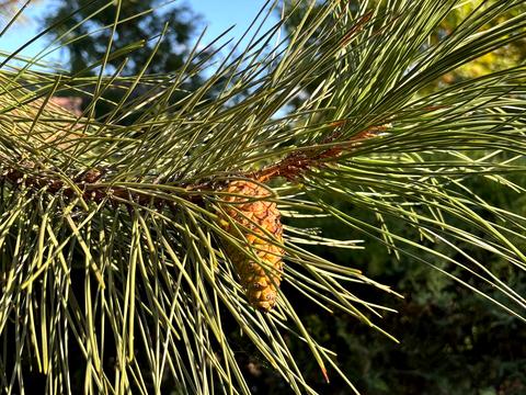 дом по адресу Набережна
