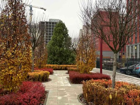 квартира за адресою Університетська вул., 1л