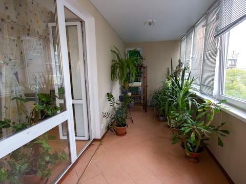 квартира по адресу Светлый пер., 13а