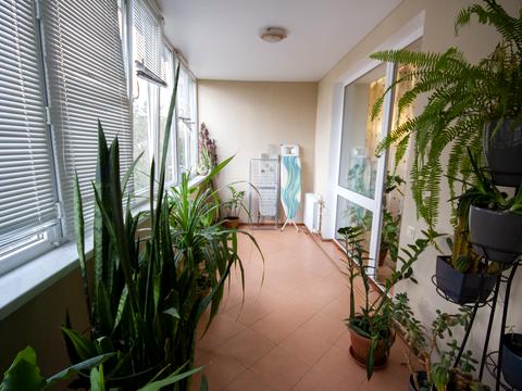 квартира по адресу Светлый пер., 13а