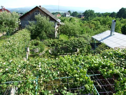 дом по адресу Польова