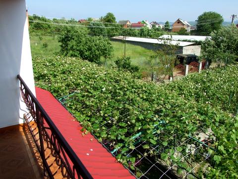 дом по адресу Польова