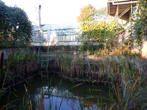 дом по адресу Польова