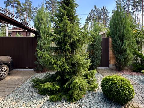 дом по адресу Революції