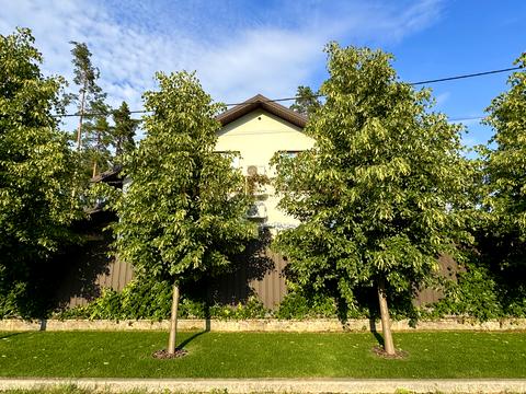 дом по адресу Революції