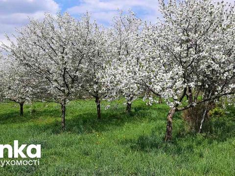 дом по адресу Романа Сушко ул., 6