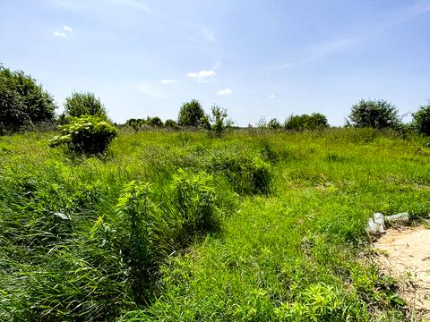 ділянка за адресою Хутір вул.