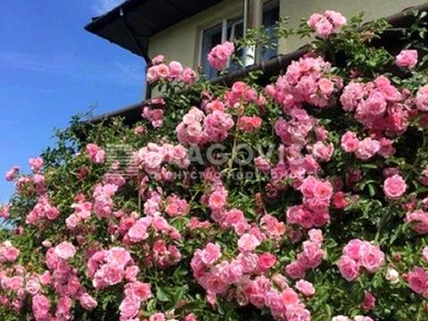 будинок за адресою Серпнева