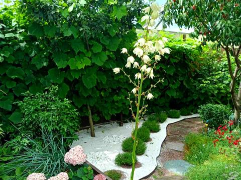 будинок за адресою Серпнева