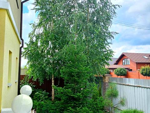 будинок за адресою Серпнева