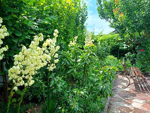 будинок за адресою Серпнева